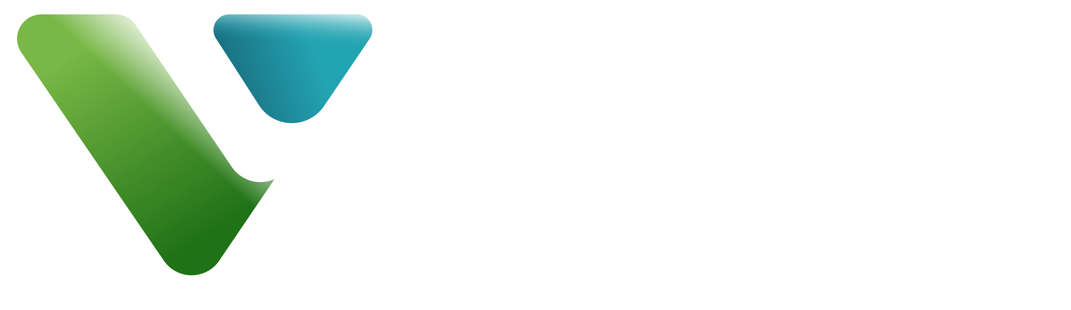 Voice International 
